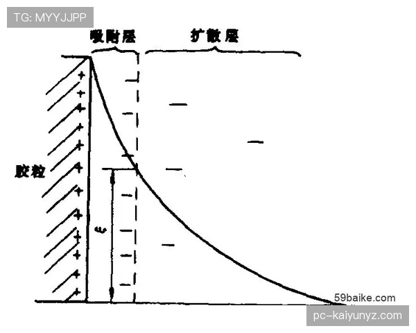 贝林厄姆与斯卡马卡在传导节奏下形成分散结构差异
